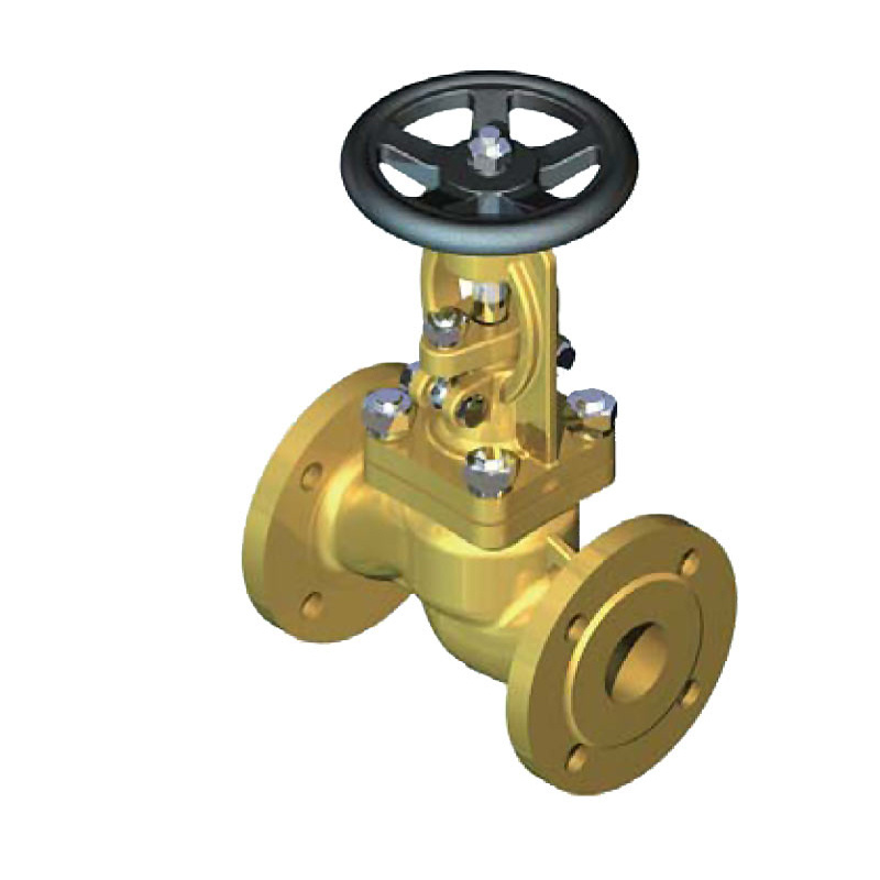 Angle Type Bronze Globe Valve