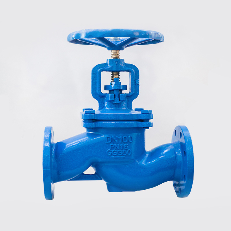 Globe Valve