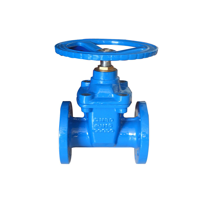 ANSI Standard Gate Valve