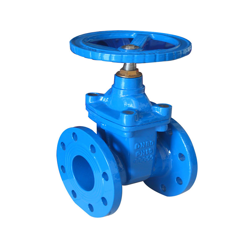 EN Standard Gate Valve