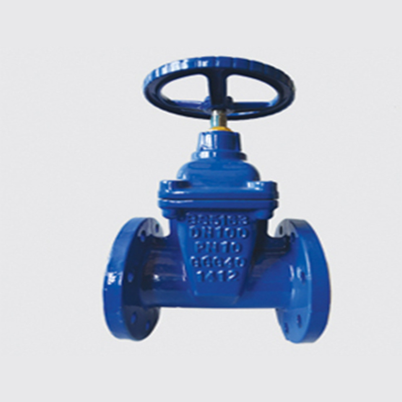 DIN Standard Gate Valve